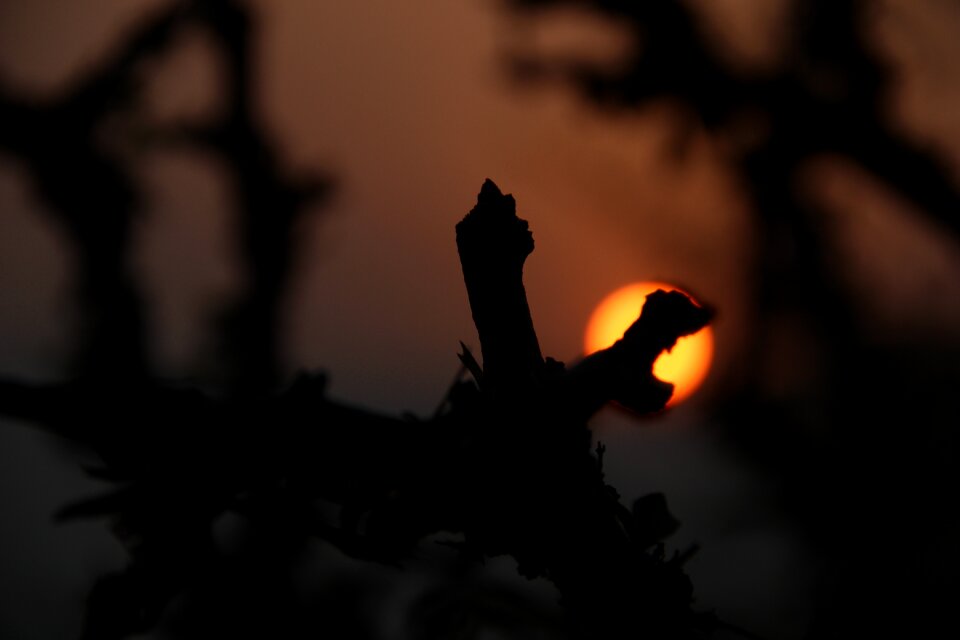 Travel rajasthan landscape