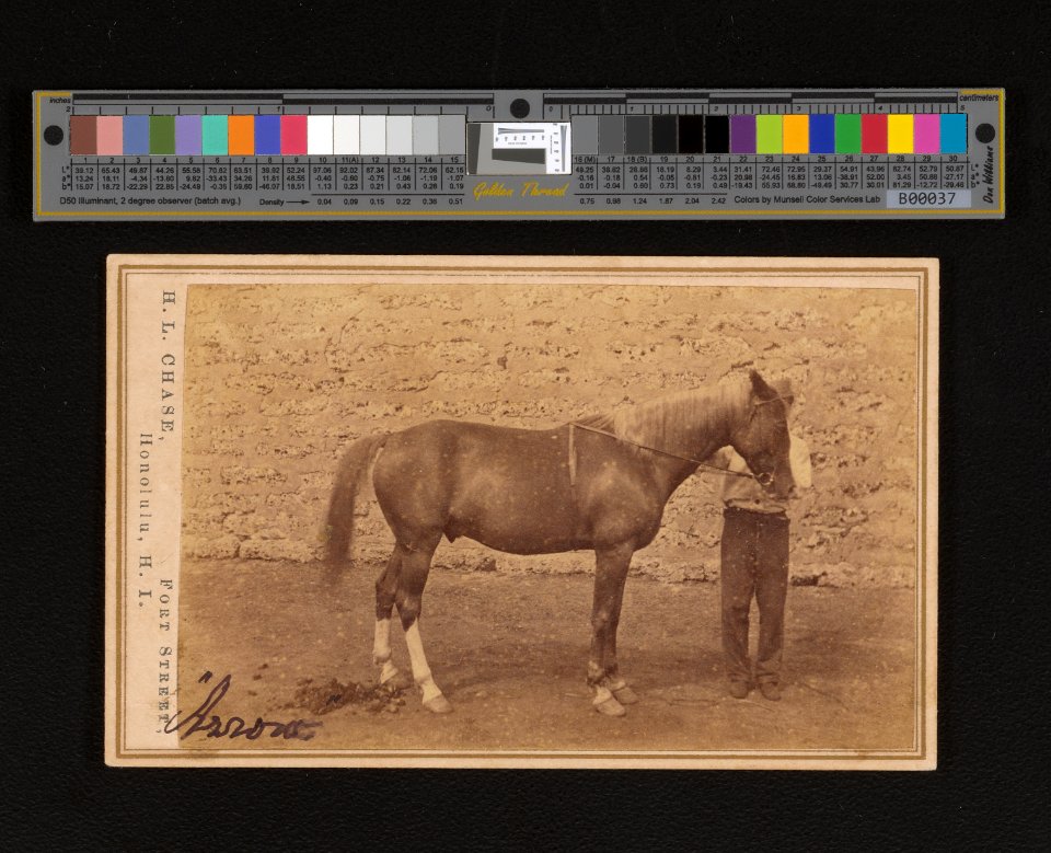 Hiikua with horse (PP-2-12-001)