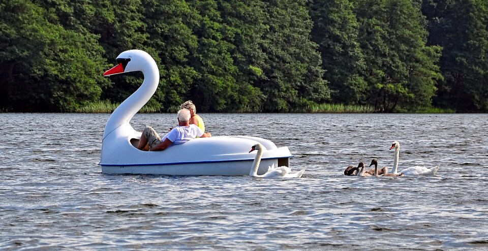 Lake shape luring