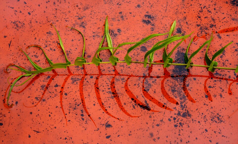 The leaves tile reflect
