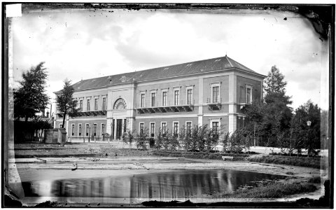 Het Zoölogisch Museum (Groote Museum) van Artis, Plantage Middenlaan 41-047