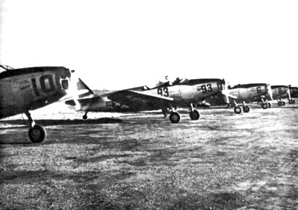 Hicks Field - Fairchild PT-19 Trainers