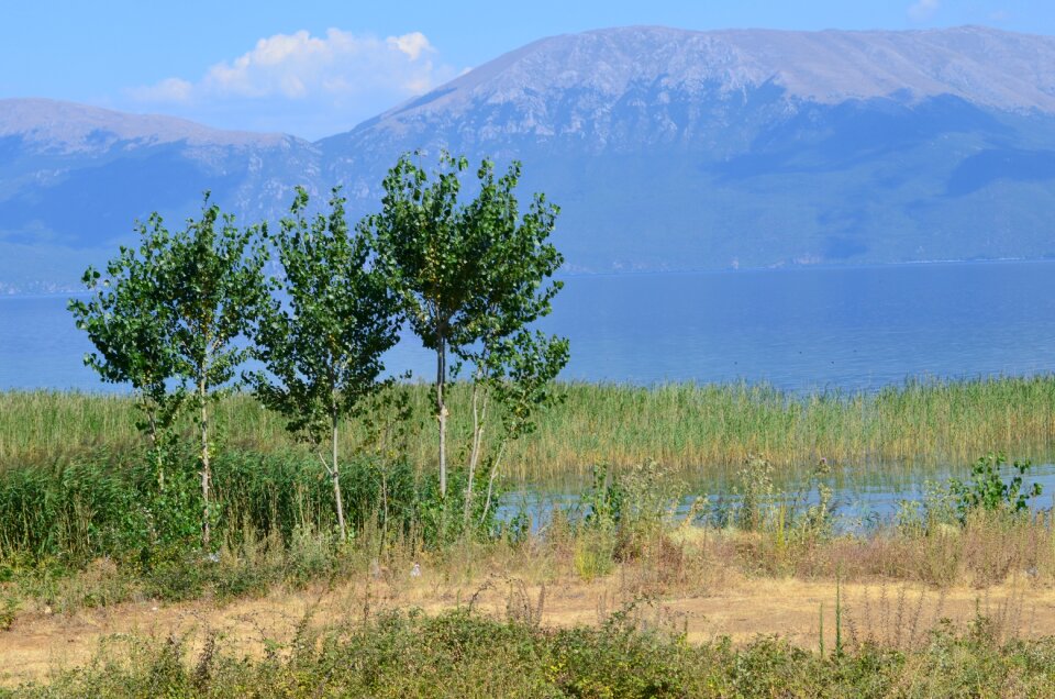 The small mountain lake lake ohrid