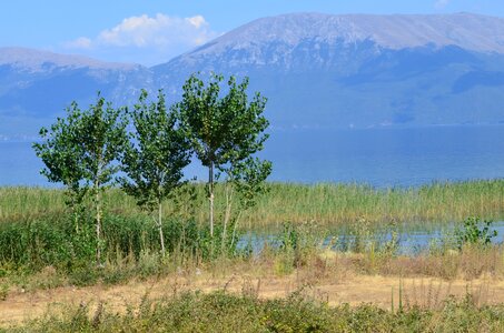 The small mountain lake lake ohrid