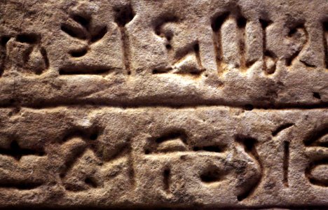Hieratic donation stele-MAHG 23473-IMG 1610