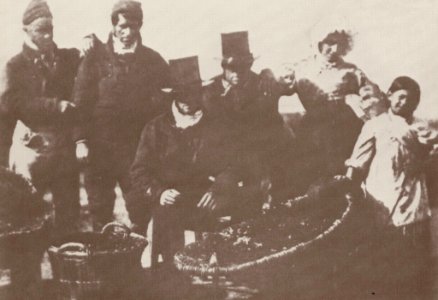 Hill und Adamson - Fischer aus Newhaven und Seeleute (3) (Zeno Fotografie)