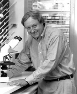 Hickstein, dennis