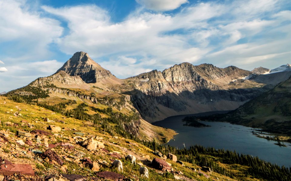 Hidden Lake- August Evening With The Goats