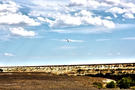 Cloud eagle in xinjiang