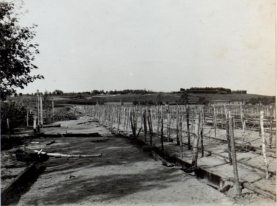 Hindernisszone im Abschnitt der zweiten Kompanie des 84. Regiments bei Podluze im Umfeld des Sperrforts von Dubno (BildID 15441929)