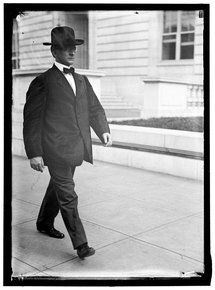 HINEBAUGH, WILLIAM HENRY. REP. FROM ILLINOIS, 1913-1915 LCCN2016864813