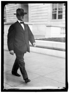 HINEBAUGH, WILLIAM HENRY. REP. FROM ILLINOIS, 1913-1915 LCCN2016864813