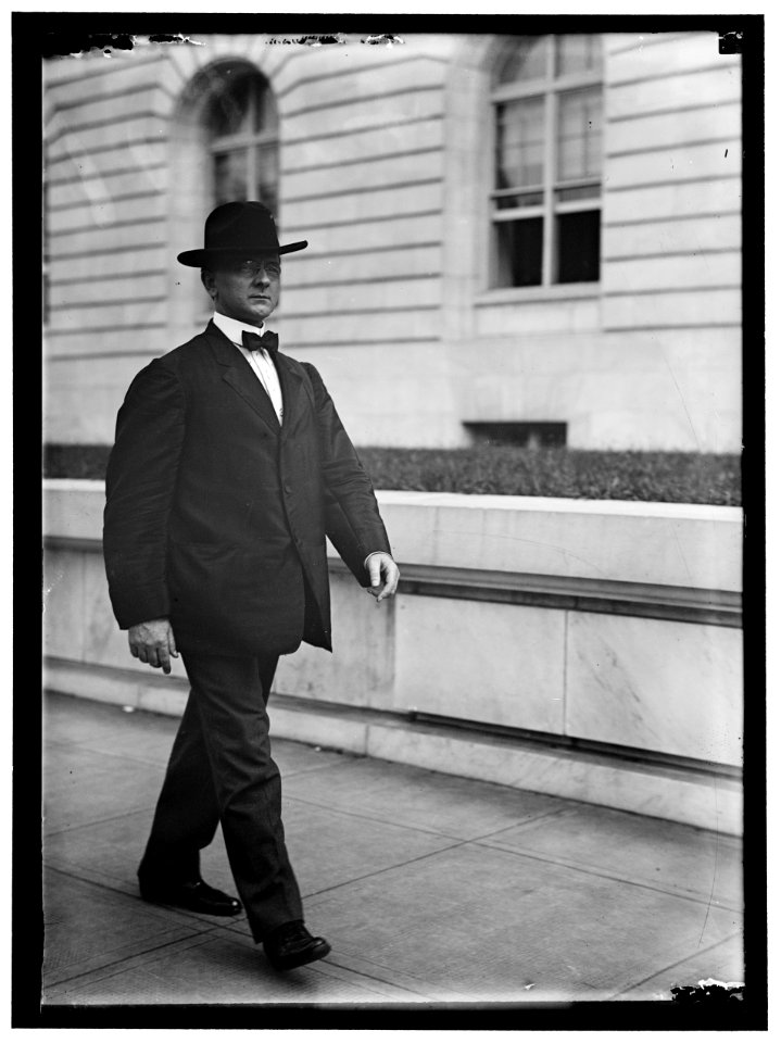 HINEBAUGH, WILLIAM HENRY. REP. FROM ILLINOIS, 1913-1915 LCCN2016864812