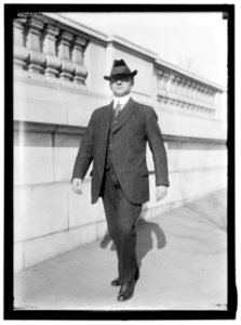 HINEBAUGH, WILLIAM HENRY. REP. FROM ILLINOIS, 1913-1915 LCCN2016865171