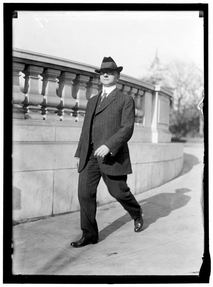 HINEBAUGH, WILLIAM HENRY. REP. FROM ILLINOIS, 1913-1915 LCCN2016865170
