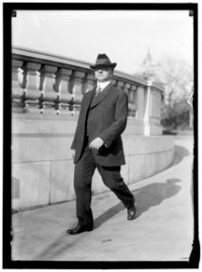 HINEBAUGH, WILLIAM HENRY. REP. FROM ILLINOIS, 1913-1915 LCCN2016865170