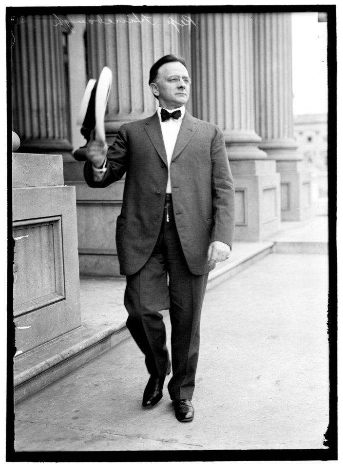 HINEBAUGH, WILLIAM HENRY. REP. FROM ILLINOIS, 1913-1915 LCCN2016865585