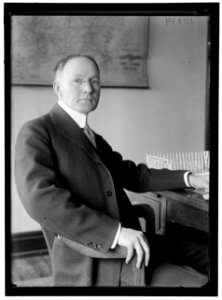 HINES, WALKER D. DIRECTOR GENERAL, U.S.R.R. ADM., JANUARY 10, 1919. AT DESK LCCN2016868809