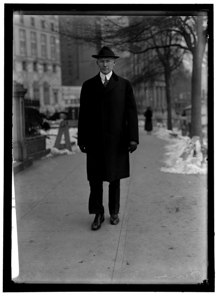 HINES, WALKER D. DIRECTOR GENERAL, U.S.R.R. ADM., JANUARY 10, 1919. WALKING LCCN2016868807