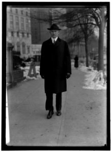 HINES, WALKER D. DIRECTOR GENERAL, U.S.R.R. ADM., JANUARY 10, 1919. WALKING LCCN2016868807