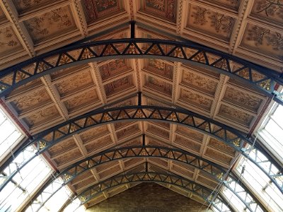 Hintze Hall ceiling (part)