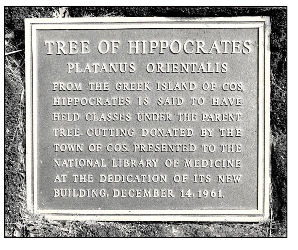 Hippocrates Plaque
