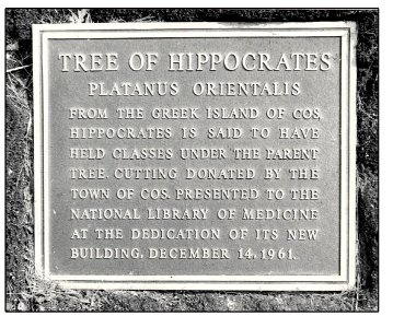 Hippocrates Plaque