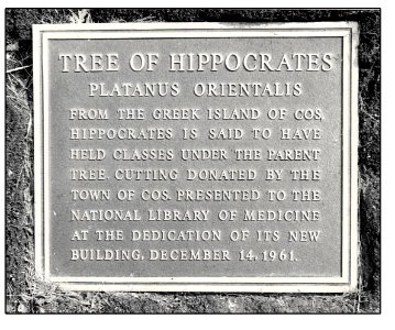 Hippocrates Plaque photo