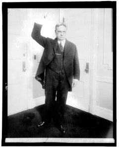 Hiram Johnson (action) LCCN2016851777
