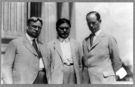 Hiram Johnson, William Borah and Medill McCormick, posed, standing half-length LCCN91795893