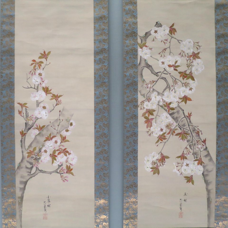 Cherry Blossoms by Hirose Kain