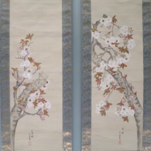 Cherry Blossoms by Hirose Kain