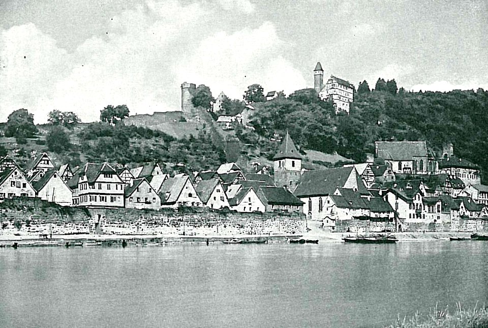 Hirschhorn (Karl Pfaff) 1896