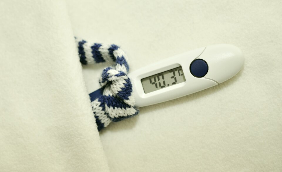 Ill bed rest health