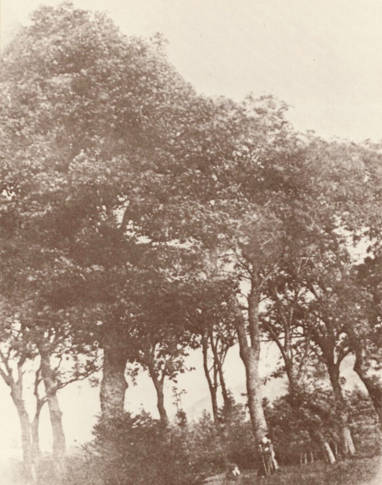 Hill und Adamson - Landschaftstudie (2) (Zeno Fotografie)