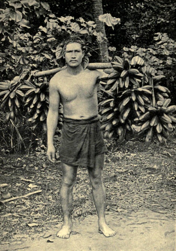 Hillsman carrying feis to Papeete, by Coulon