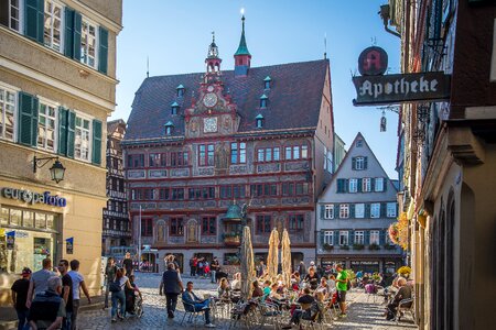 Town hall marketplace frescos