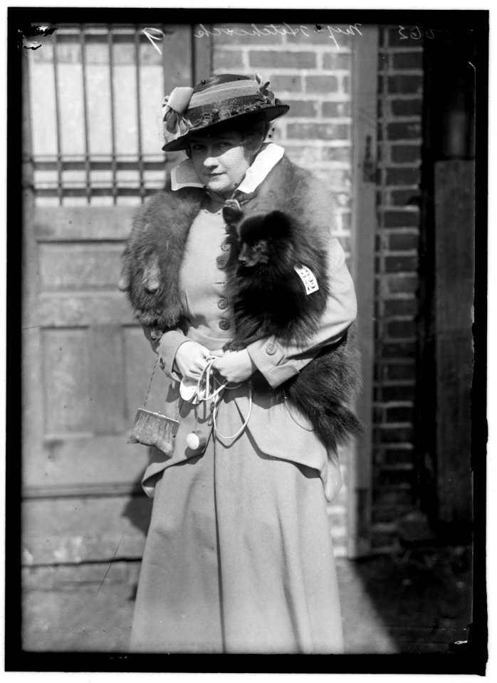 HITCHCOCK, MISS R. DOG SHOW LCCN2016866269