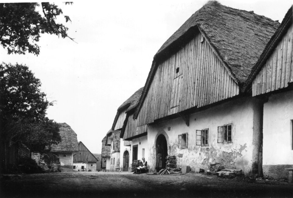 Hiša v Cerknici