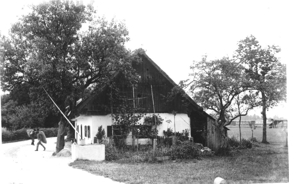 Hiša v okolici Ljubljane (3)