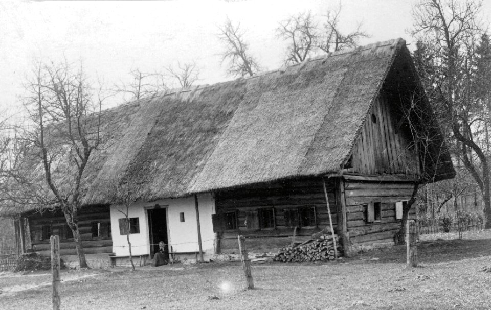 Hiša v Stražišču pri Kranju (2)
