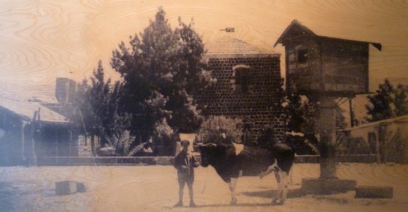 Historical images of Kinneret Farm P1180659