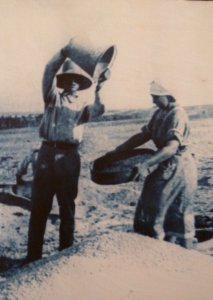 Historical images of Kinneret Farm P1180670