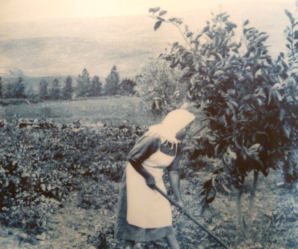 Historical images of Kinneret Farm P1180683