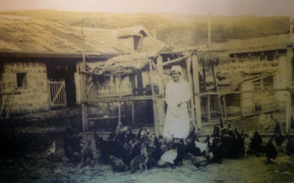 Historical images of Kinneret Farm P1180687