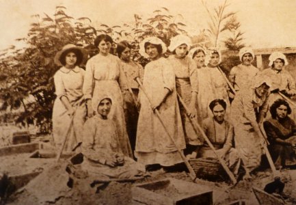 Historical images of Kinneret Farm P1180695