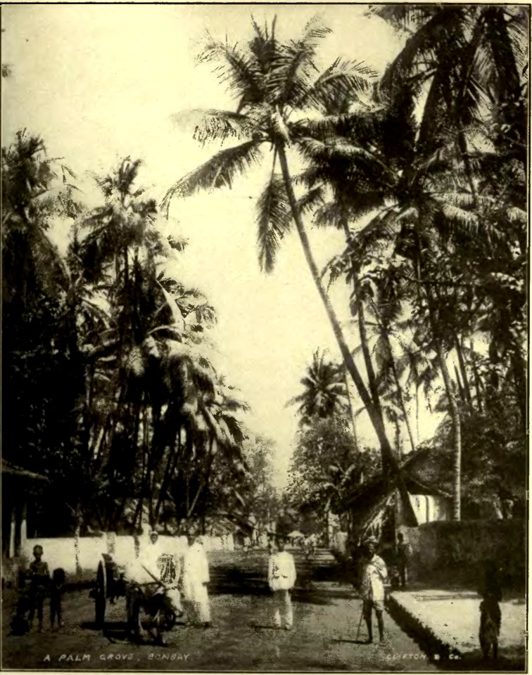 History of India Vol 6 (page 101 crop)