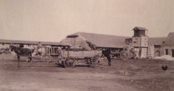 Historical images of Kinneret Farm P1180657
