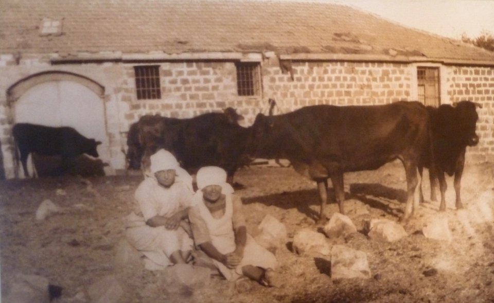 Historical images of Kinneret Farm P1180685