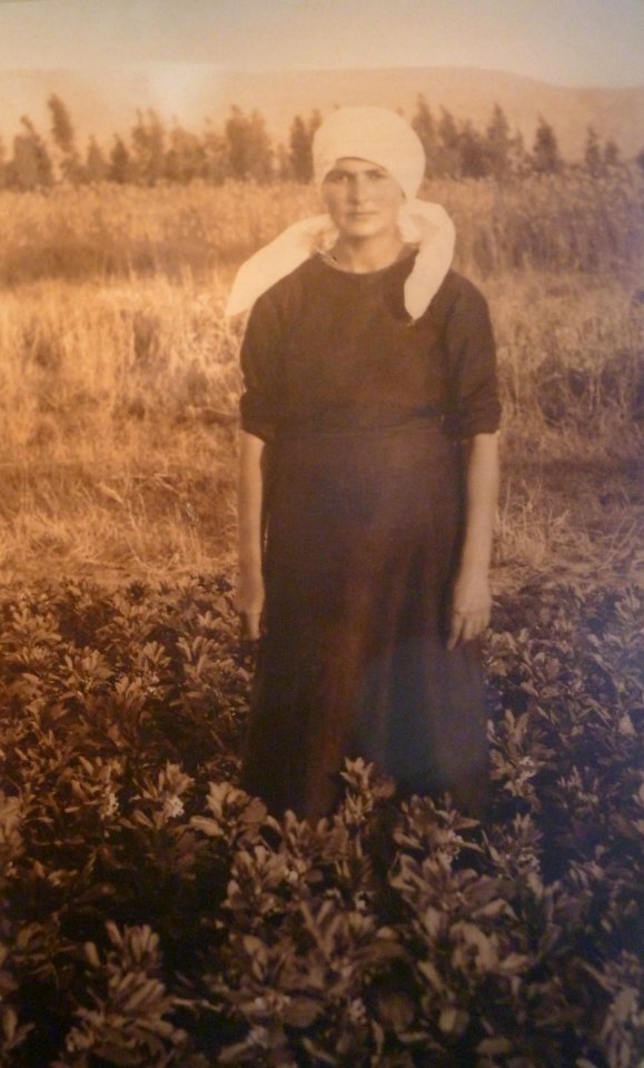 Historical images of Kinneret Farm P1180689